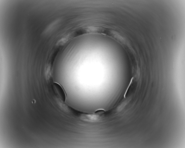 X0000086040478200704091154