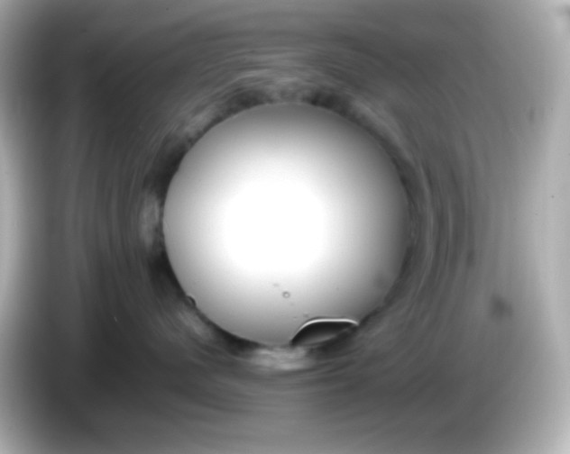 X0000086040480200704091154
