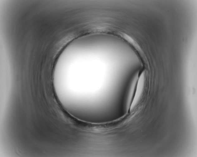 X0000086040481200704091153