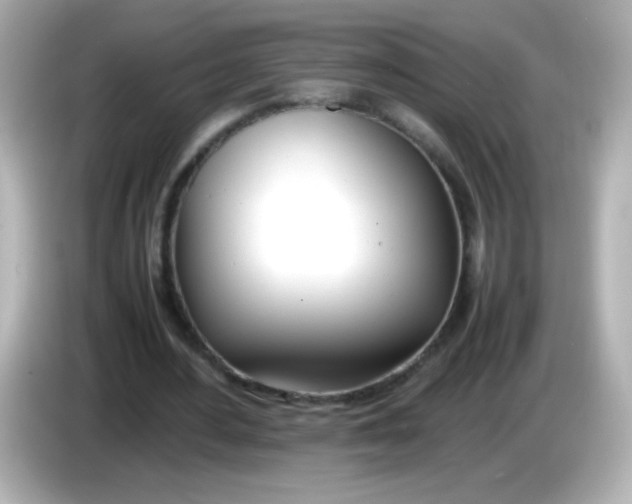 X0000086040484200704091153