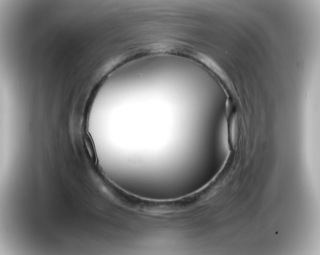 X0000086040485200704091153