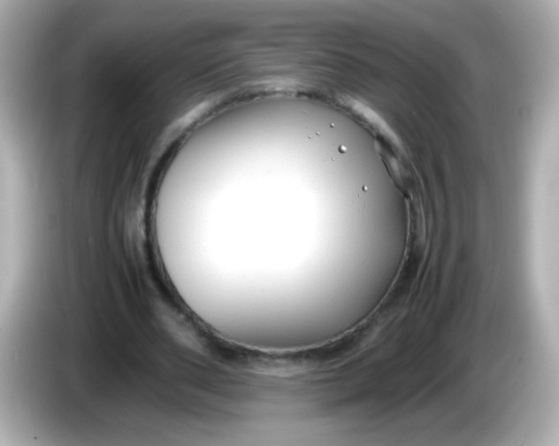 X0000086040486200704091153