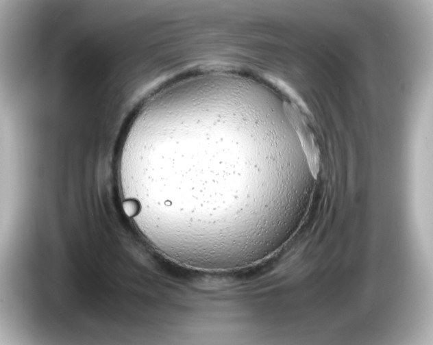 X0000086040487200704091153