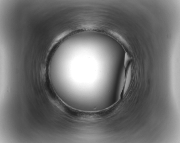 X0000086040488200704091153