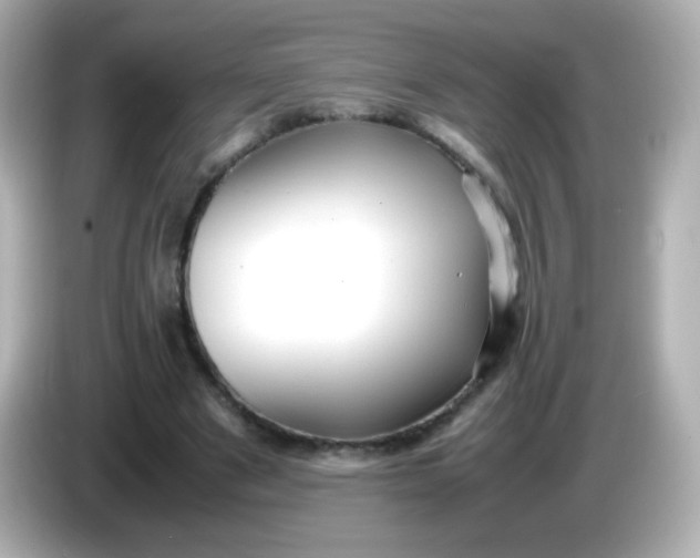 X0000086040489200704091153