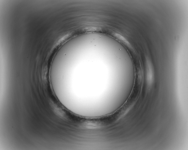 X0000086040490200704091153