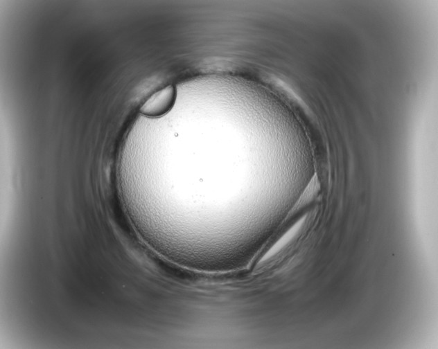 X0000086040491200704091153