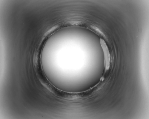 X0000086040492200704091153