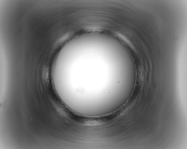 X0000086040494200704091153
