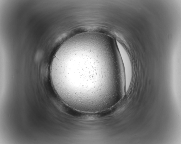 X0000086040495200704091153
