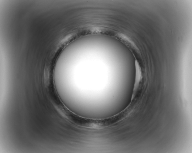 X0000086040496200704091153