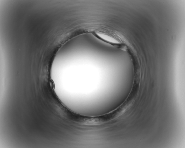 X0000086040497200704091153