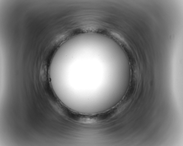 X0000086040498200704091153