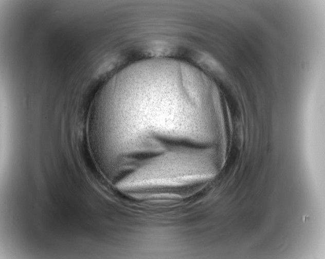 X0000086040499200704091153