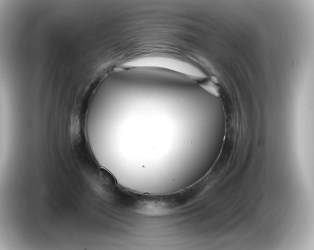 X0000086040500200704091153