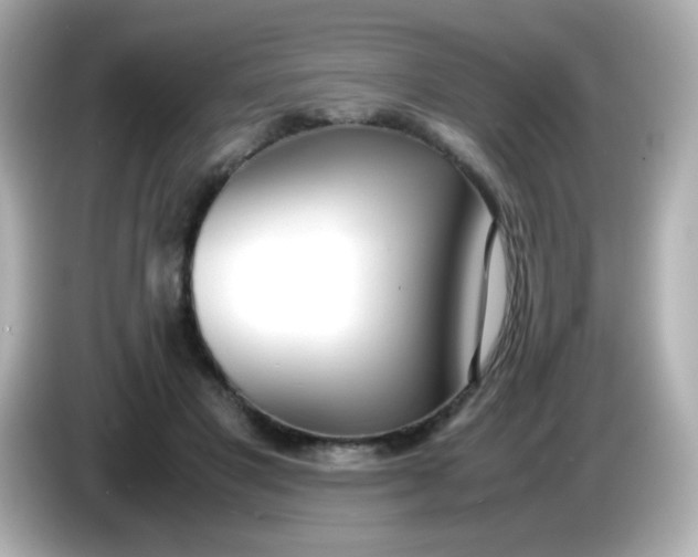 X0000086040501200704091153