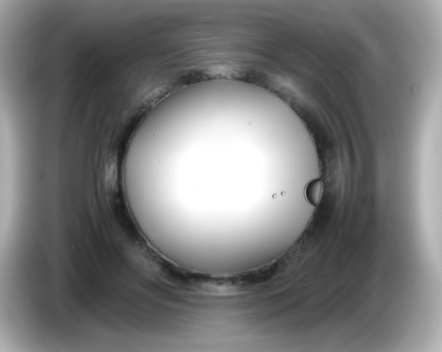X0000086040502200704091153