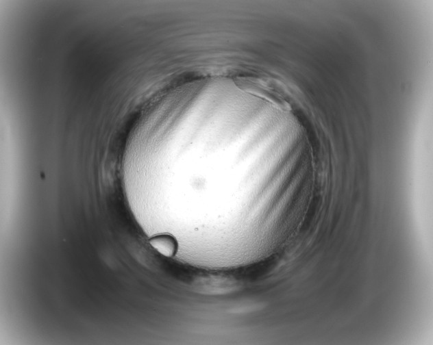 X0000086040503200704091153