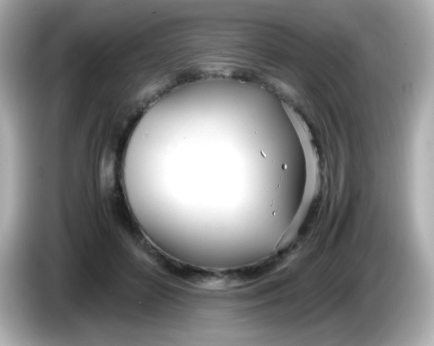 X0000086040504200704091153