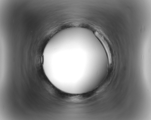 X0000086040505200704091153