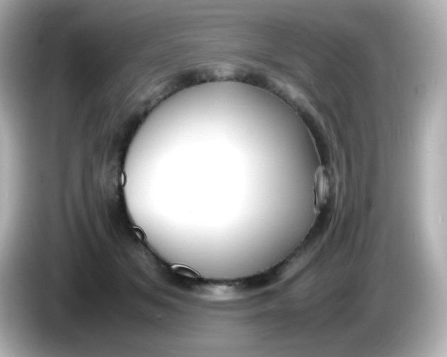 X0000086040509200704091153