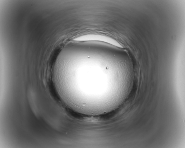 X0000086040511200704091153