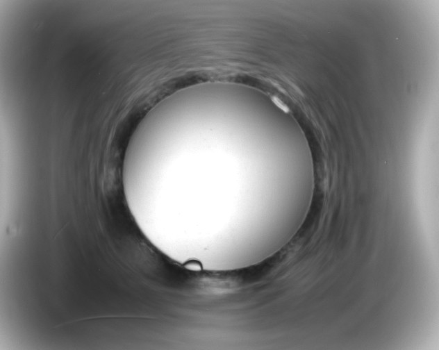 X0000086040515200704091153