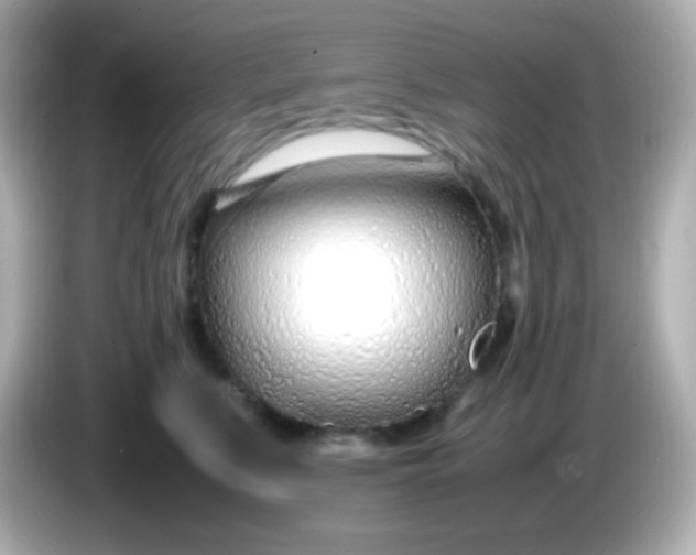 X0000086040519200704091153