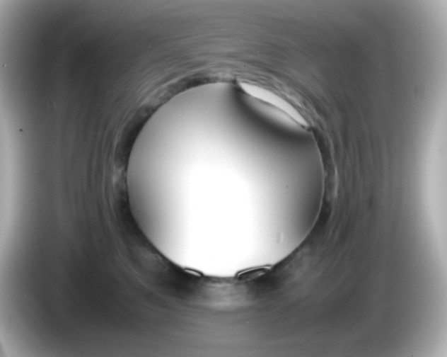 X0000086040521200704091153