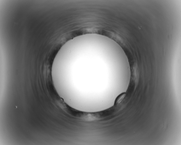 X0000086040522200704091153