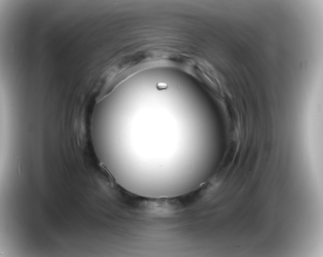X0000086040524200704091153