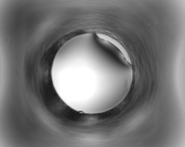 X0000086040525200704091153