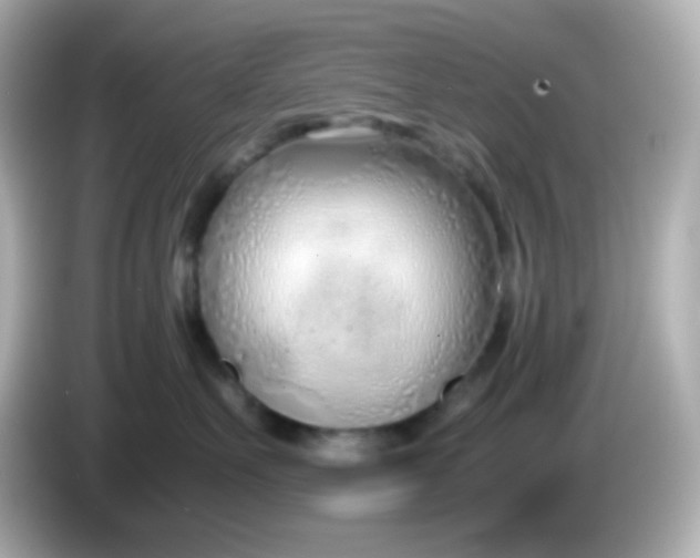X0000086040527200704091153