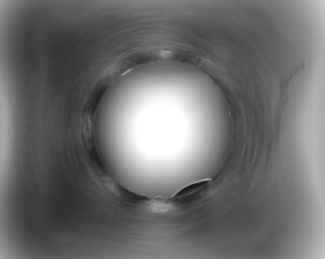 X0000086040528200704091153