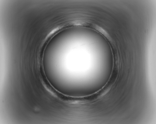 X0000086040530200704091152