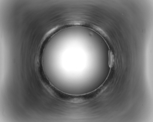 X0000086040536200704091152