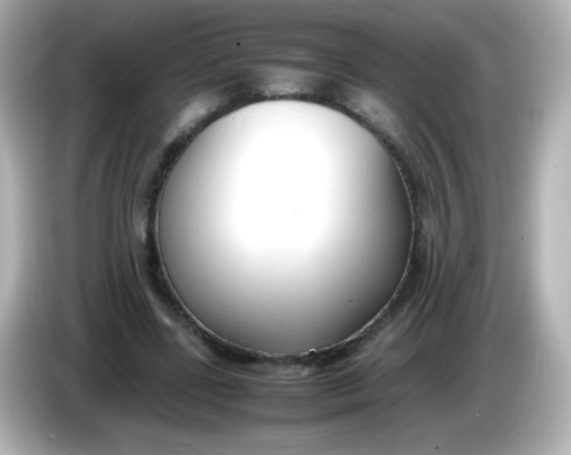 X0000086040539200704091152