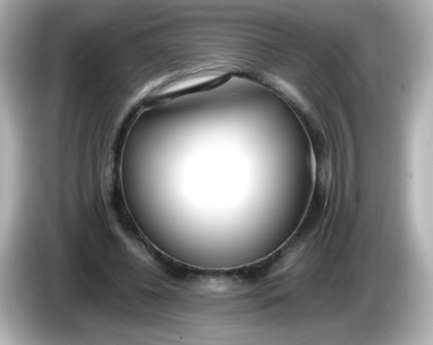 X0000086040540200704091152