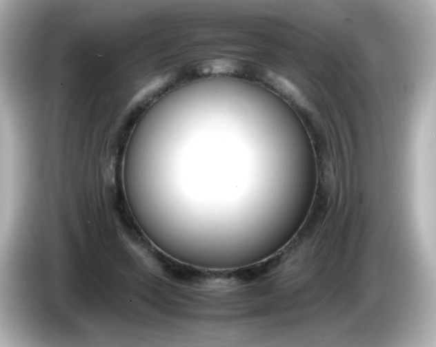 X0000086040543200704091152