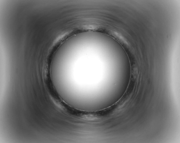 X0000086040544200704091152