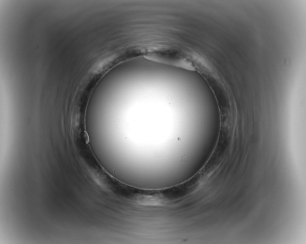 X0000086040548200704091152