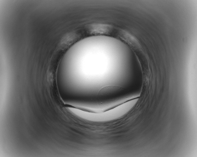 X0000086040551200704091152