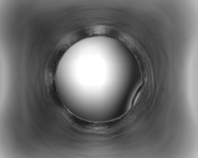 X0000086040555200704091152