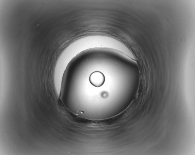 X0000086040556200704091152