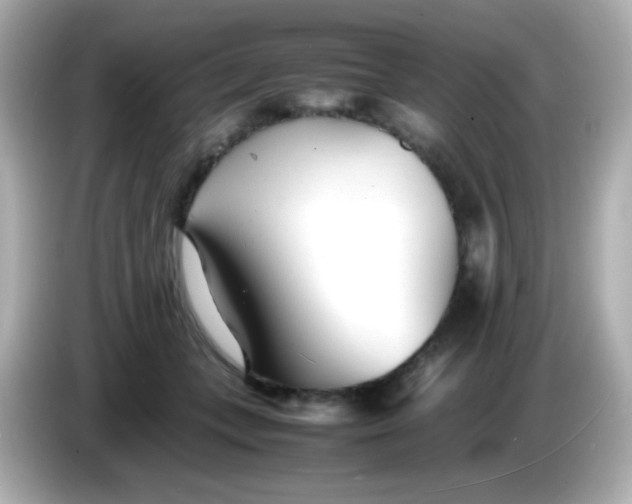 X0000086040559200704091152