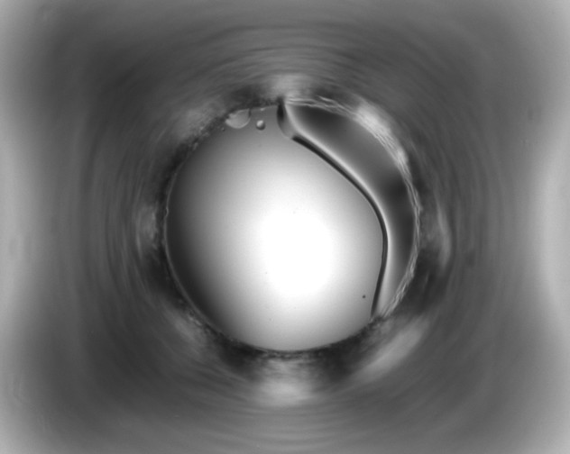 X0000086040560200704091152