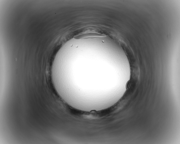 X0000086040561200704091152