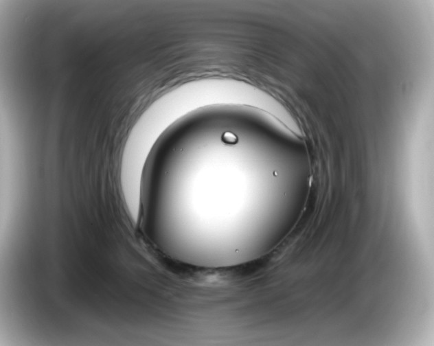 X0000086040564200704091152