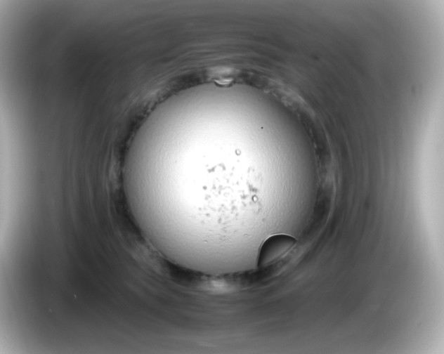 X0000086040565200704091152