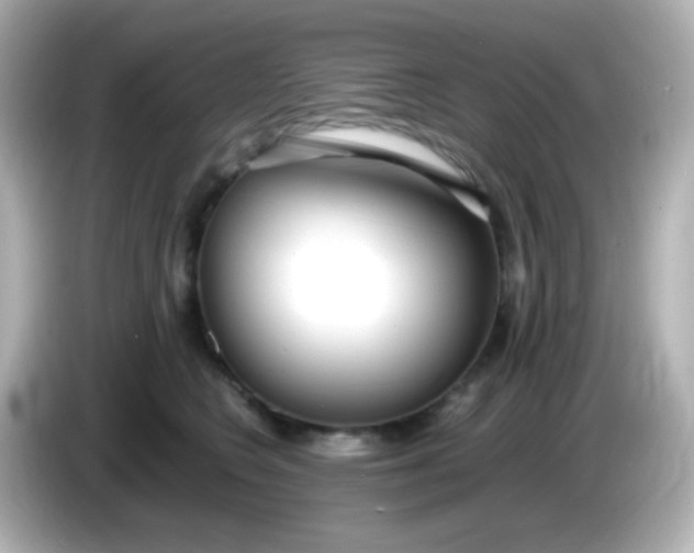 X0000086040566200704091152